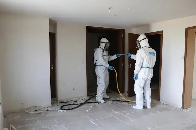 bezpieczne odgrzybianie Płock