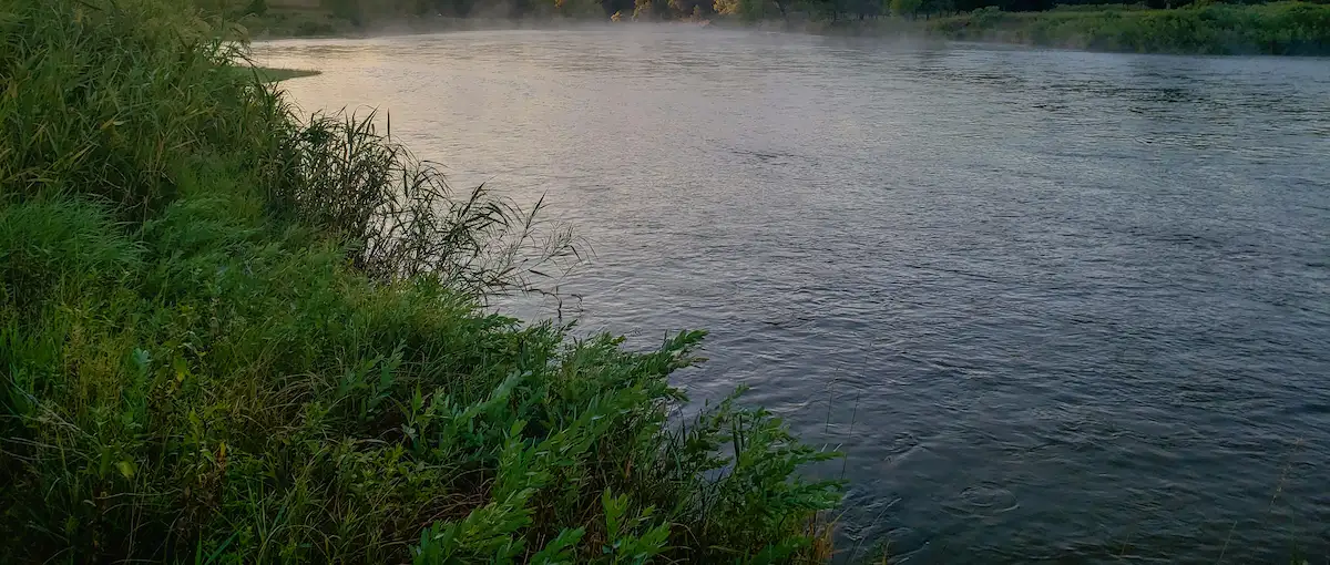 Mgła i duża wilgotność powietrza