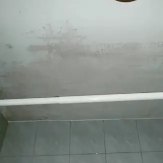 Grzyb na ścianie
