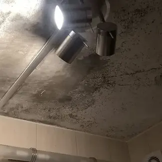 Grzyb w łazience